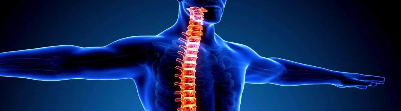 Acme Spine And Orthopedics