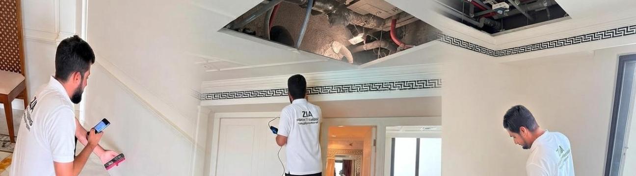 Building  Inspection